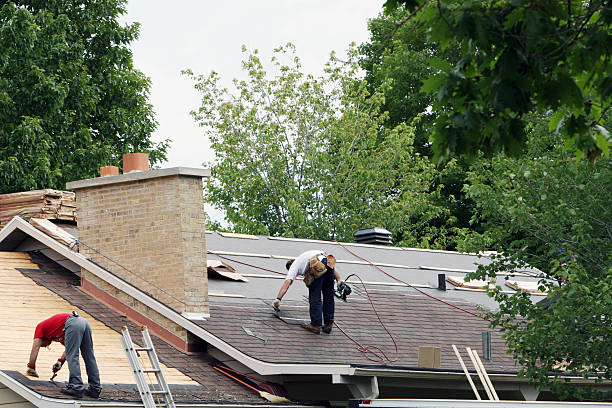 Best Roof Gutter Cleaning  in Vernon, TX